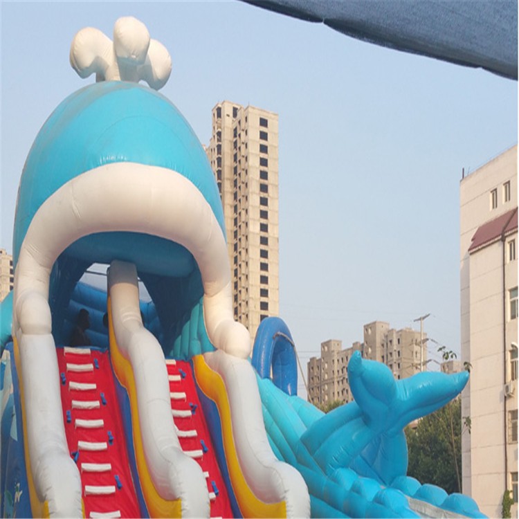 将乐充气水上滑梯